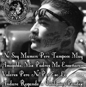 Meet your Posher, Vincent